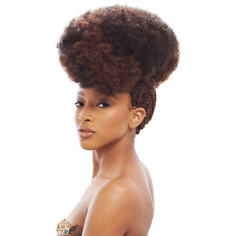 Janet Collection 2X Afro Kinky Bulk Crochet Braid 24"